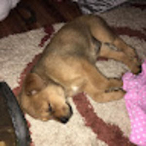 Meet your Posher, Kat